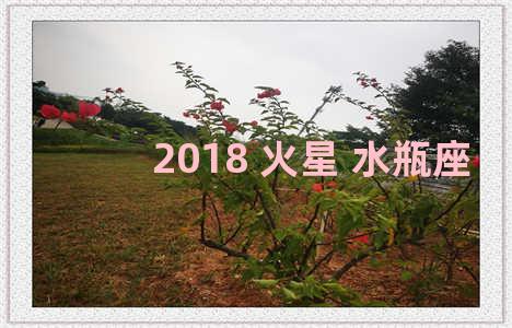 2018 火星 水瓶座